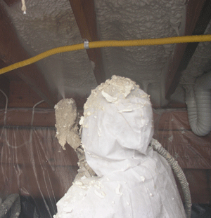  AR crawl space insulation